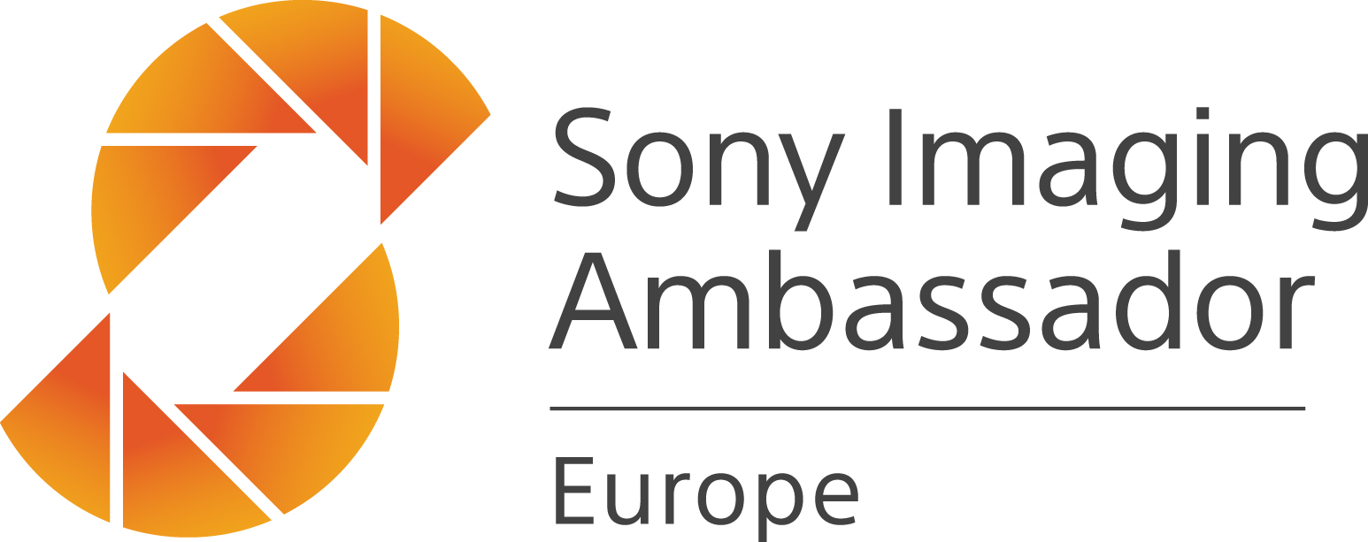 Sony_IAE_Logo_L_W